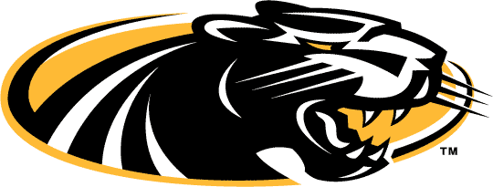 Wisconsin-Milwaukee Panthers 2002-2010 Alternate Logo iron on transfers for clothing